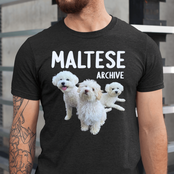 Maltese Archive Poodle Dog Men Shirt
